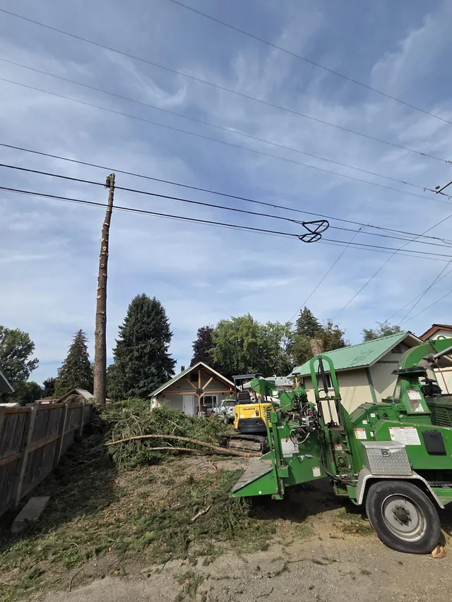 Brush chipper set up beside a row of houses with cut brush piled for chipping