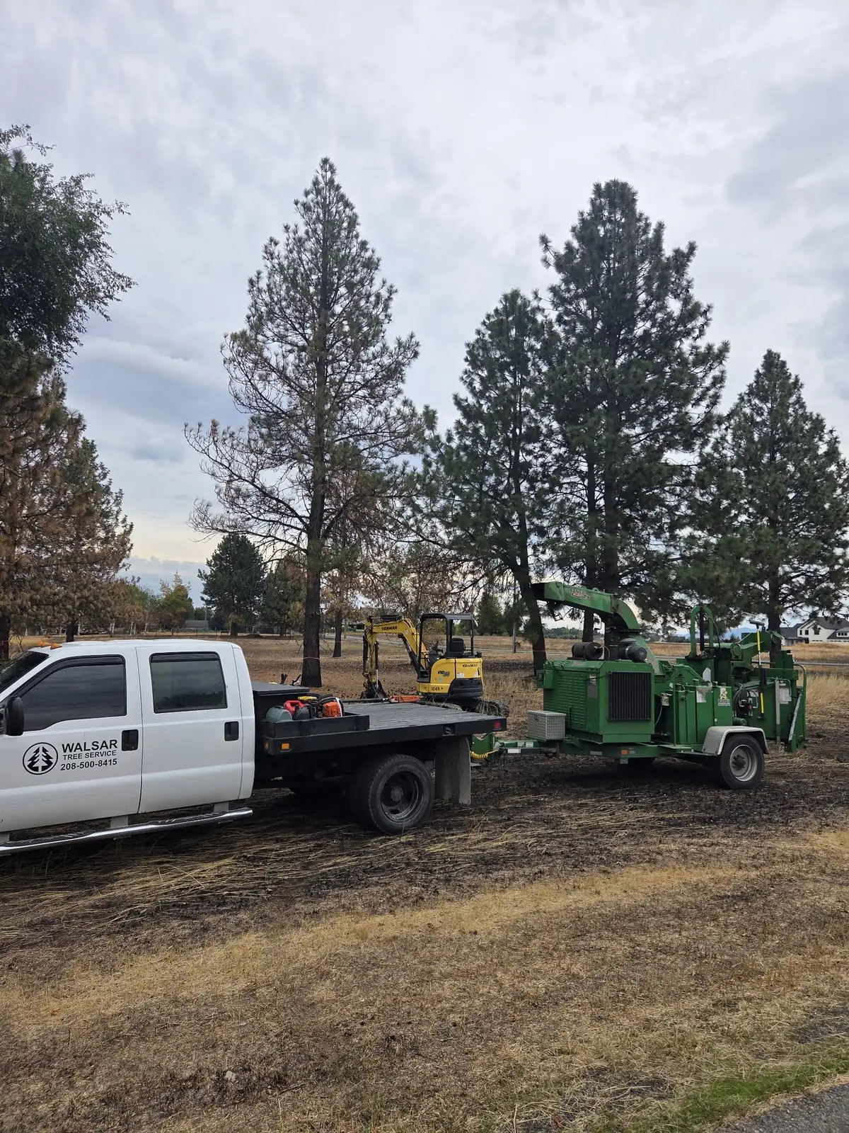 Walsar truck and brush chipper on a dry lot among ponderosa pines