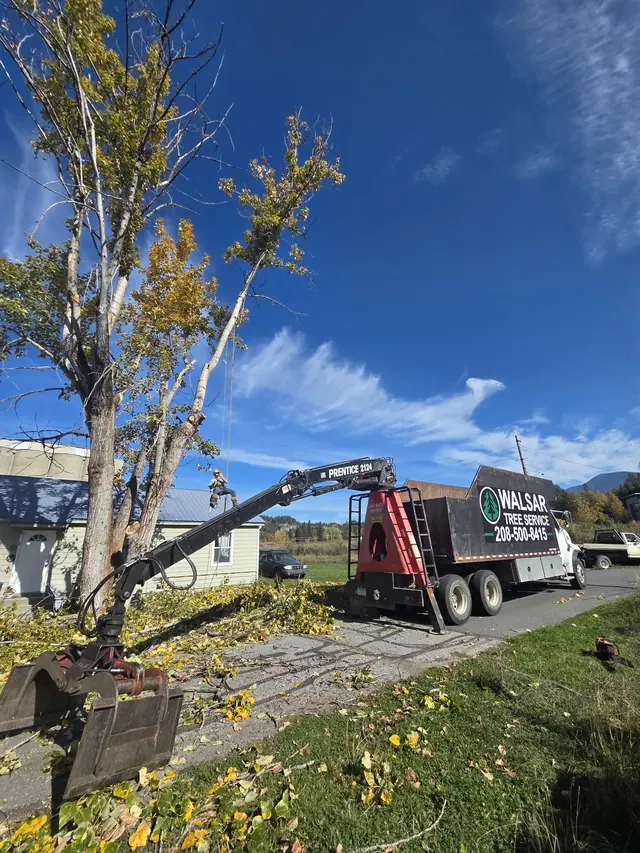 Walsar grapple truck clearing sections of a removed tree beside a house