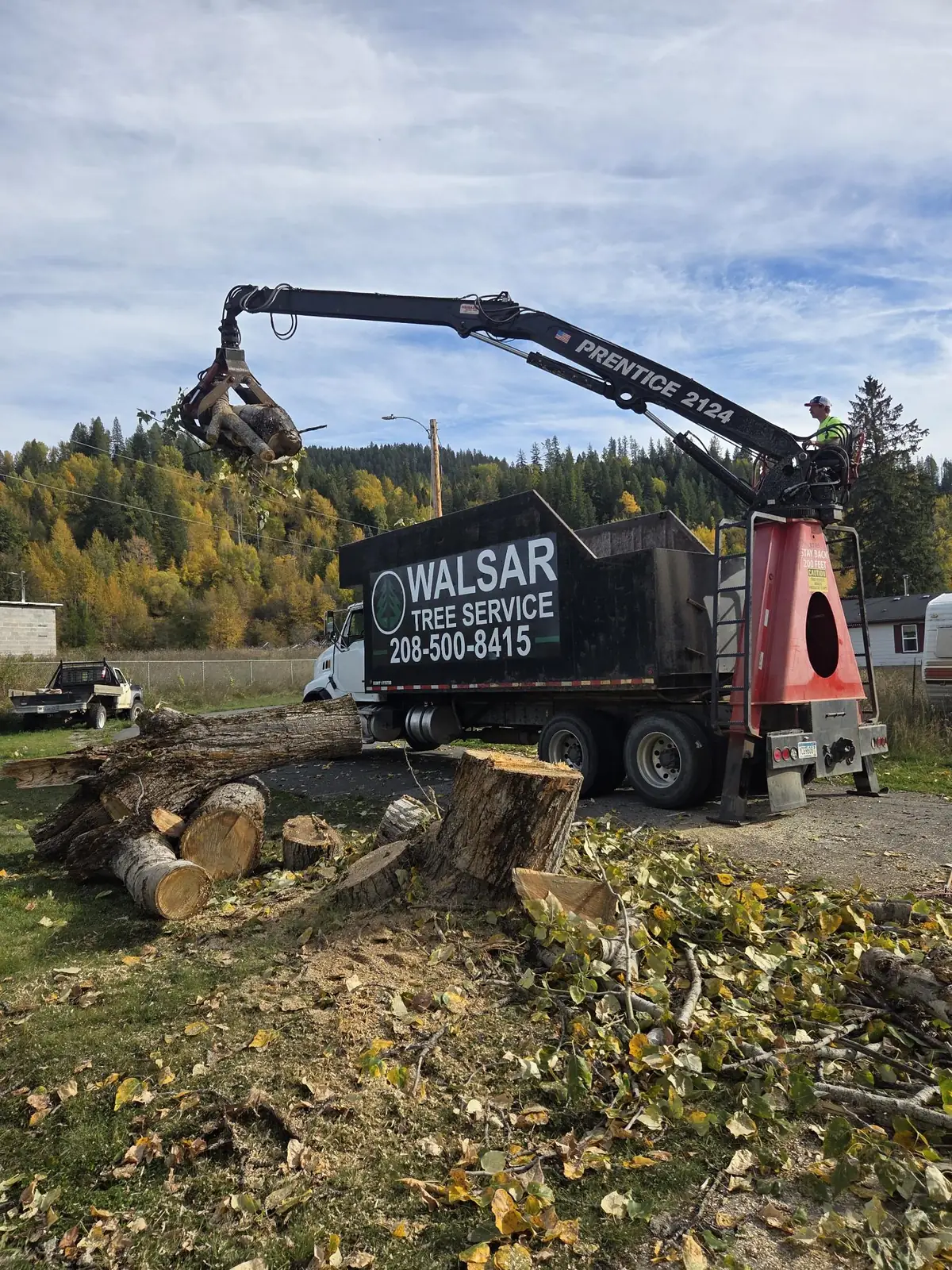 Walsar grapple truck loading cut tree sections on a residential job