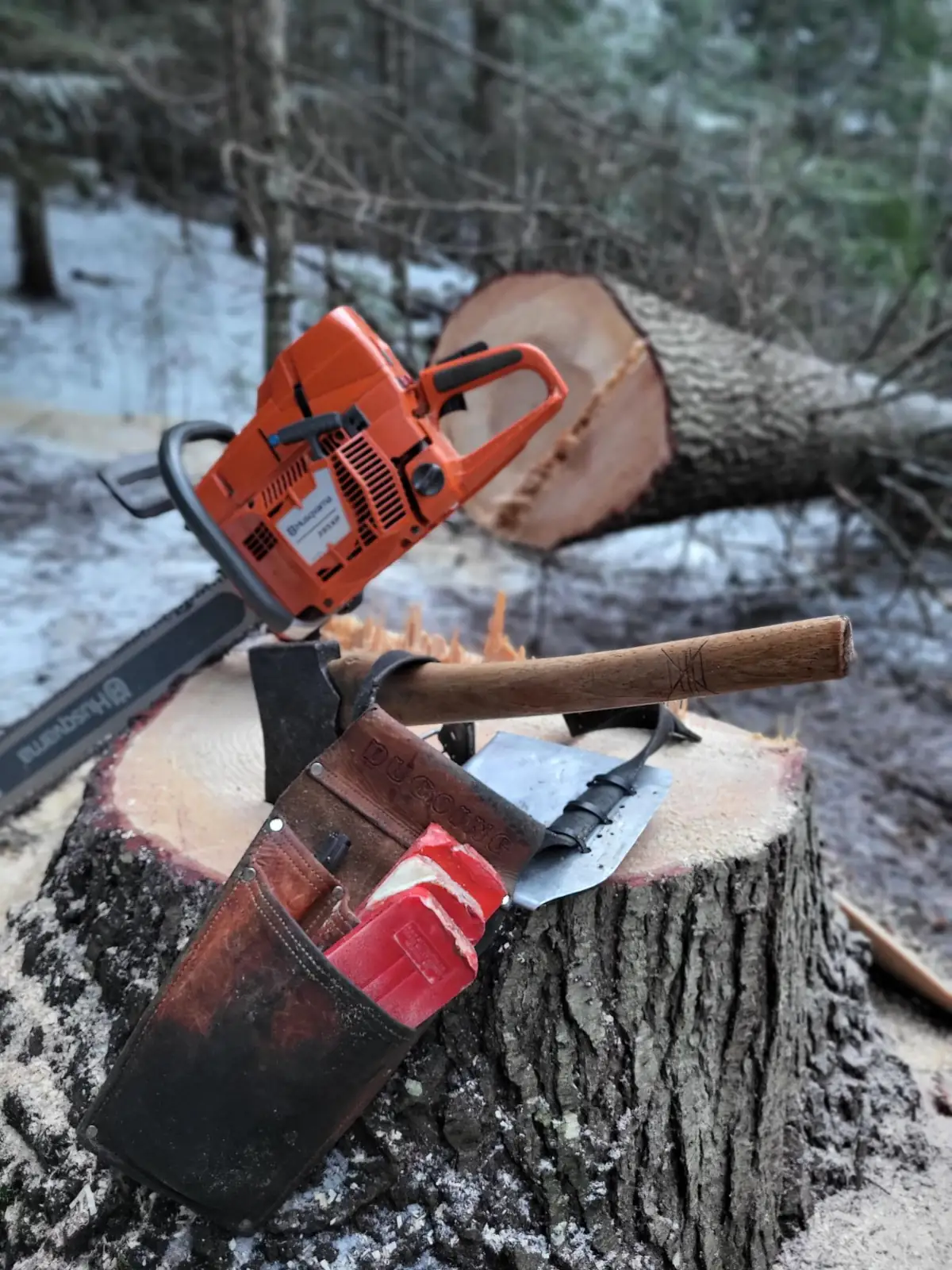 Chainsaw, axe and tool pouch on a fresh stump in the snow
