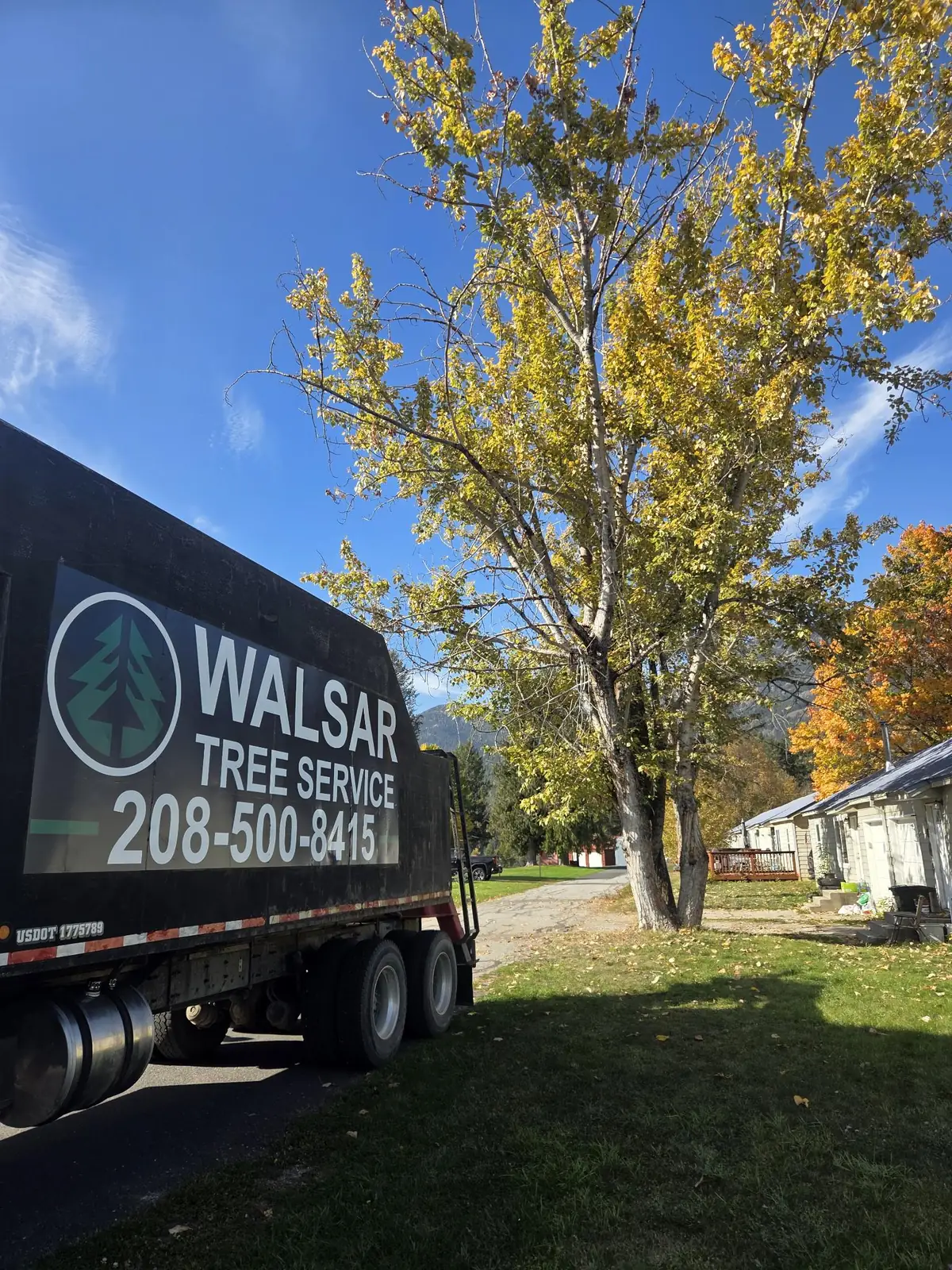 Walsar Tree Service truck with the logo and phone number on the box