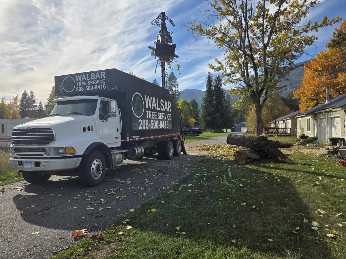 Walsar box truck parked on a residential street with cut rounds on the lawn